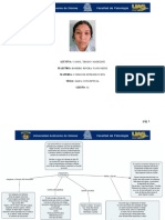 Mapa Conceptual, Normas Apa