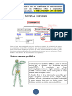 Sistema Nervoso e Evid+ Ncias Sobre Reflexoterapias (Complemento Das Aulas)