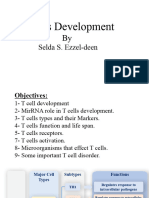 T Cells Development: Selda S. Ezzel-Deen