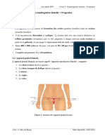 Cours 3 - Format 2