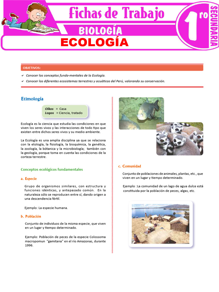 Fundamentos de Ecología en Perú | PDF | Ecología | Ecosistema