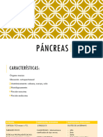 Páncreas