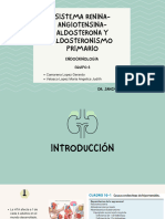 Sistema Renina-Angiotensina-Aldosterona y Aldosteronismo Primario