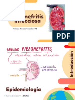 Pielonefritis Corregida