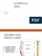 Clase Medula Espinal