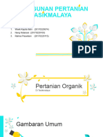 Beautiful Yellow Flower PowerPoint Templates