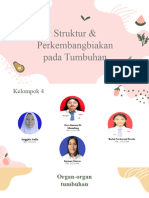 K4 - Struktur Dan Perkembangbiakan Tumguhan - PPT