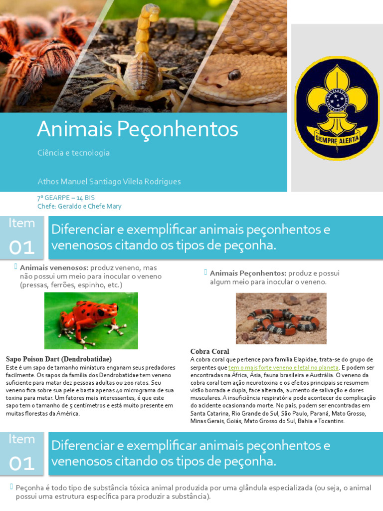4_Gram.Mágica - Consultoria Educacional FTD/IBEP | PDF Online | FlipHTML5, image size:768x1024