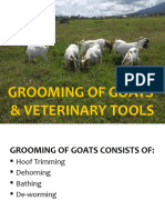 Grooming of Goats.