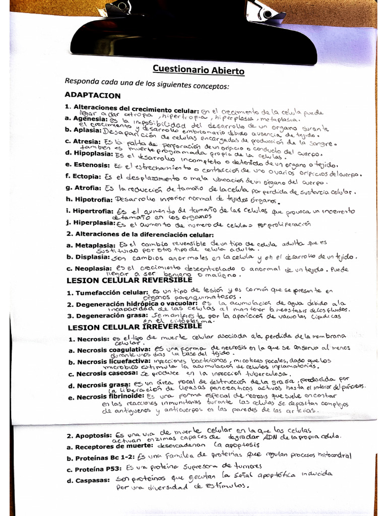 Cuestionario de Pato PDF