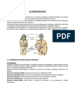 Sistema Endocrino - Part 1