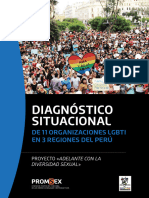 Diagnostico Situacional Org Peru