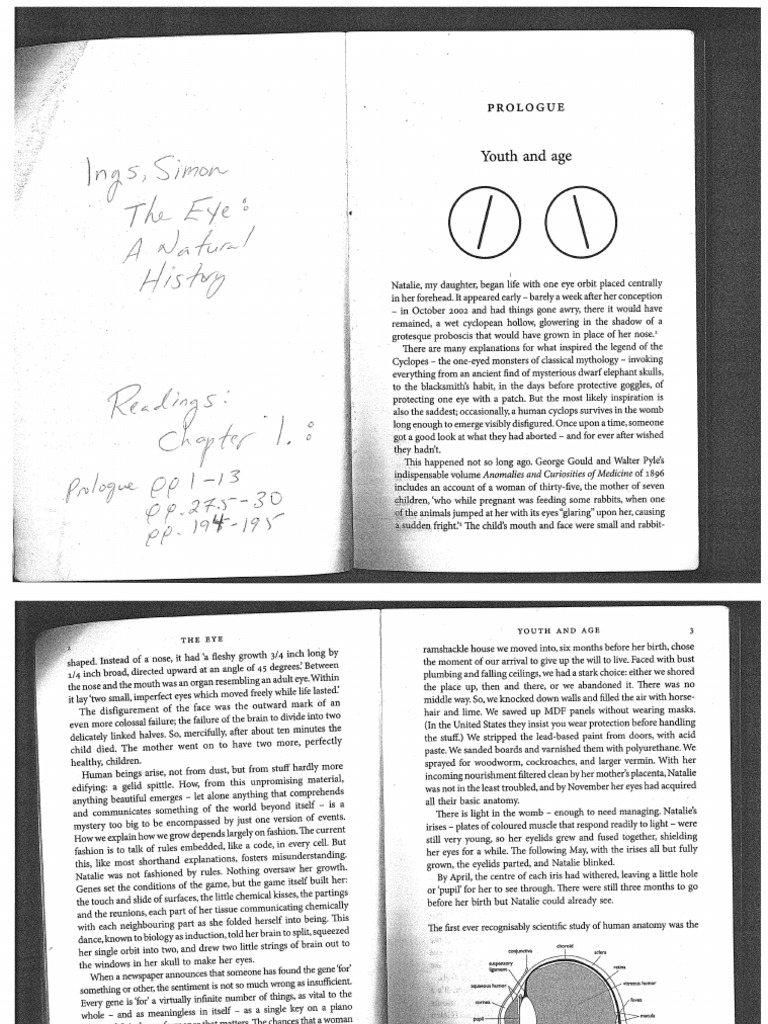 Ings Chapter 1 Scanned | PDF