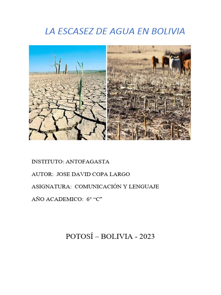 Crisis de Agua en Bolivia: Causas y Soluciones | PDF | Escasez de agua ...