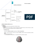 SISTEMA NERVIOSO I 4 Año