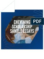 Chevening Scholarship Sample Essays 1694840461