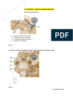 Anatomy Module 1