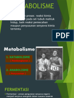 Metabolisme Fermentasi