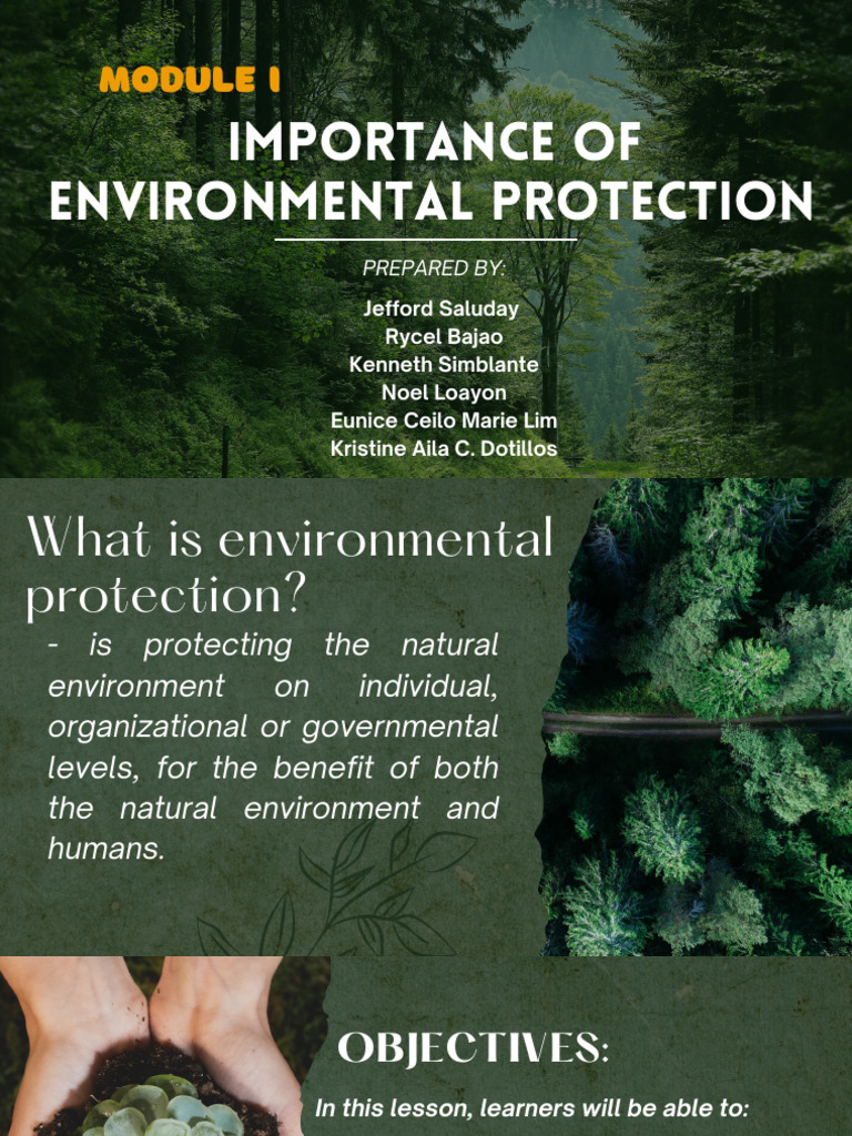 IMPORTANCE OF ENVIRONMENTAL PROTECTION PDF Deforestation Natural Environment