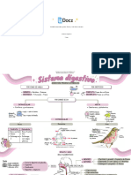 Sistema Digestivo 376073 Downloadable 2368177