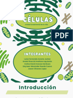 Presentación Biología Célula Ilustrativa Verde