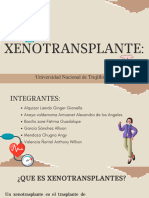 XENOTRANSPLANTE Comprimido