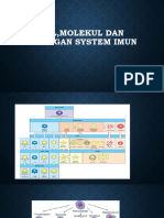 Cel Jmolekul Dan Jaringan System Imun