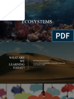 Ecosystem 1