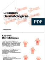 Lesiones Dermatológicas - Pato