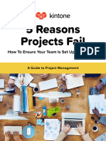 5 Reasons Projects Fail