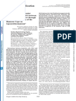 The Cell Surface Receptor DC-SIGN Discriminates Between Mycobacterium Species Through Selective Recognition of The Mannose Caps On Lipoarabinomannan