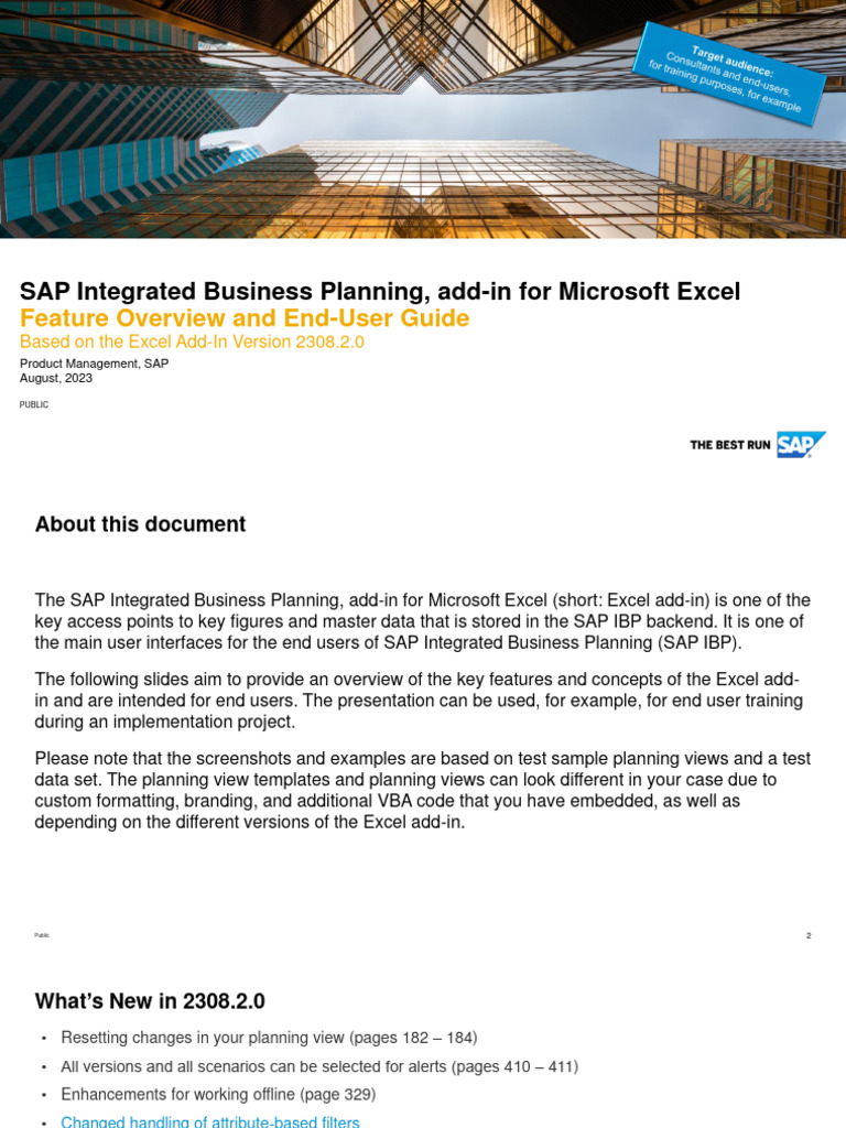 SAP IBP Excel Add-In User Guide | PDF