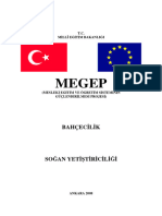 Soğan Yetiştiriciliği