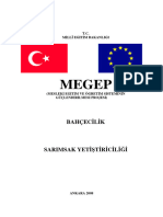 Sarımsak Yetiştiriciliği