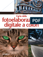 Larte Della Fotoelaborazione Digitale A Colori