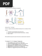 Myofascial Trigger Point Chart | PDF