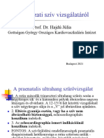 Hajdú Júlia - Magzati Echocardiográfia