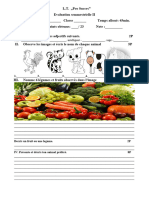 Evaluation 2 Clasa 5 Fructe - Animale