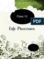 CBSE Class 10 Life Processes Study Notes