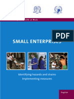 ISSA - Guidelines Small Enterprises