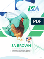 ISA Brown