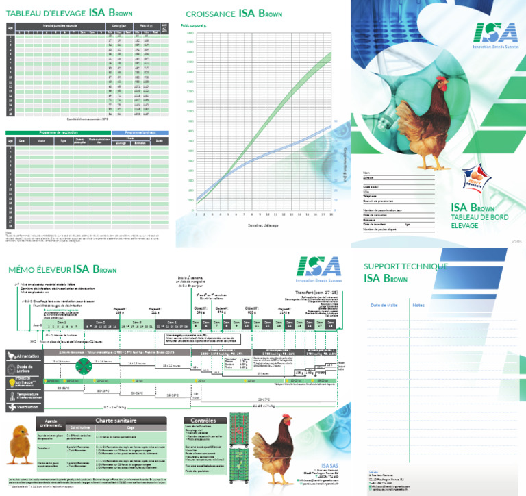Guide d'élevage des poules Isa Brown | PDF | Thermodynamique | Chimie