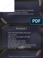 Kelompok 2 Bakteriologi