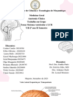 Sistema Ventricular e LCR