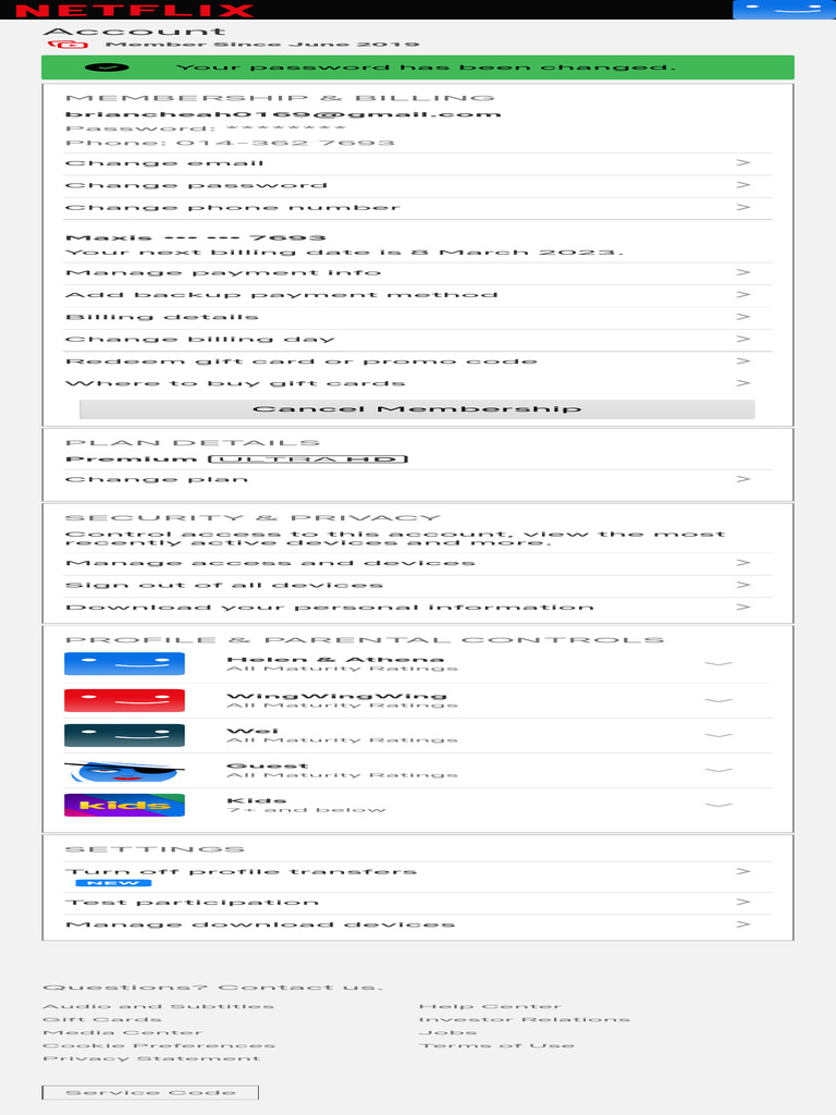 Account Settings Netflix PDF
