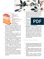 C13 Lesiones Por Presion