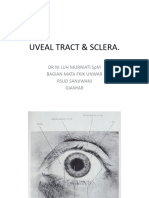 Uveal Tract & Sclera