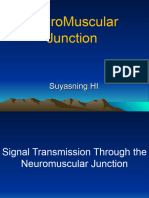 Neuromyal Junction2015
