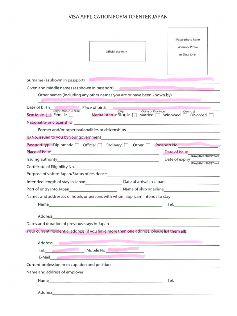 VISA Application Form | PDF