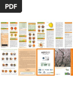 pêssego e nectarina